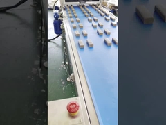 Papa High Speed Multi Line Protein Date Bar Extruder Machine