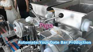 Hot Sale P160 Filled Date Bar Cookies Fig Newton Biscuits Making Forming Encrusting Machine