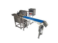 Biscuit Donuts Cover Chocolate Belt Coating Machine with Cooling Tunnel